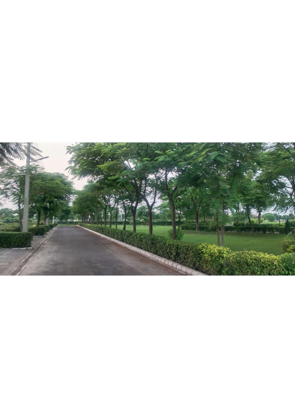 Green Circle Homes, Ambala – landscaped avenue with hedges and green lawn