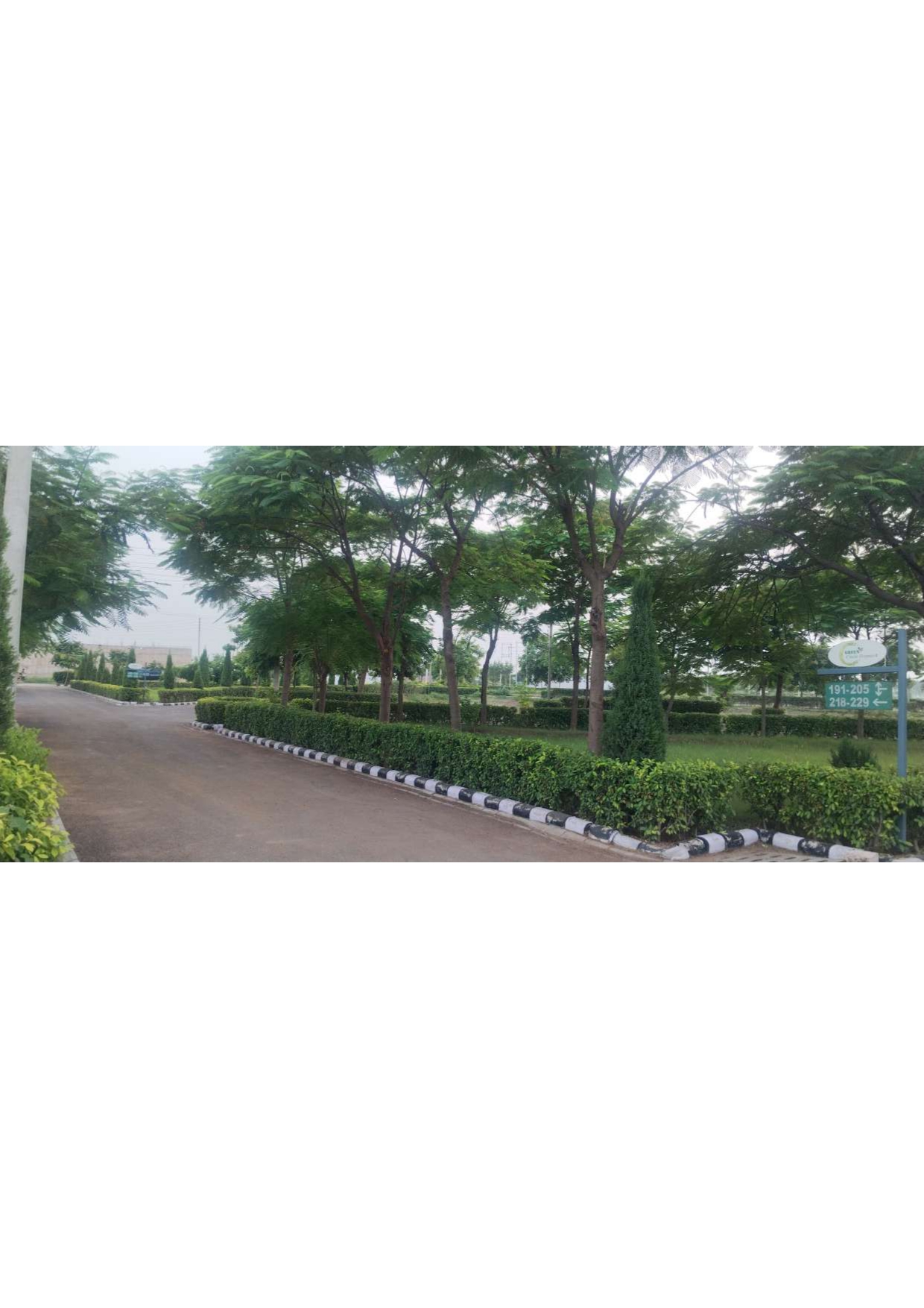 Green Circle Homes, Ambala – tree-lined internal road with trimmed hedges