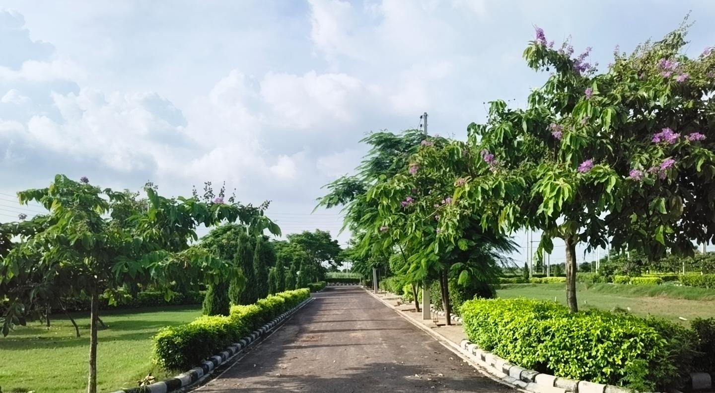 Green Circle Homes, Ambala – flowering trees along an internal road